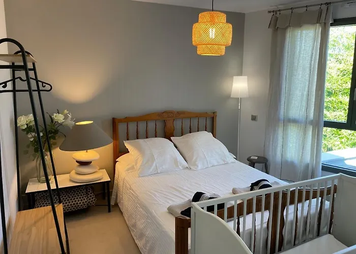 Bassina Avec Piscine Biarritz